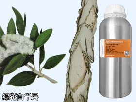 YS綠花白千層油 | 是皮膚與粘膜的守護(hù)神，還能制作漱口水，你知道嗎？