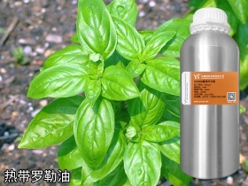 YS熱帶羅勒油 | 帶八角香氣的香水常用原料，也是消炎止痛抑菌能手