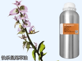 YS快樂(lè)鼠尾草油 | 如果能說(shuō)話(huà)，它的口頭禪一定是“做人，最重要是開(kāi)心”